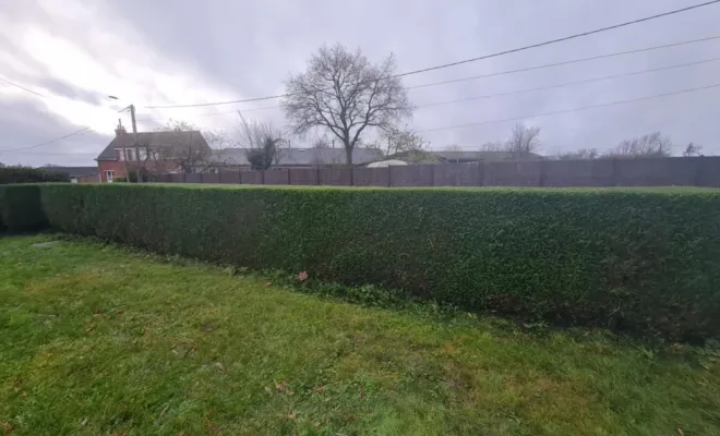 Taille de haies à Blaringhem, Saint-Omer, Alerte Nuisible Environnement