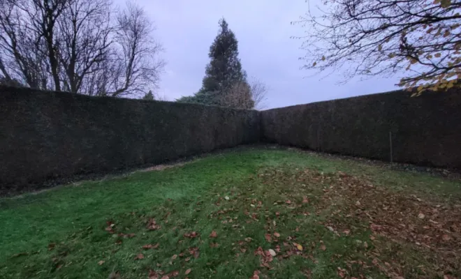 Taille de haies à Blaringhem, Saint-Omer, Alerte Nuisible Environnement