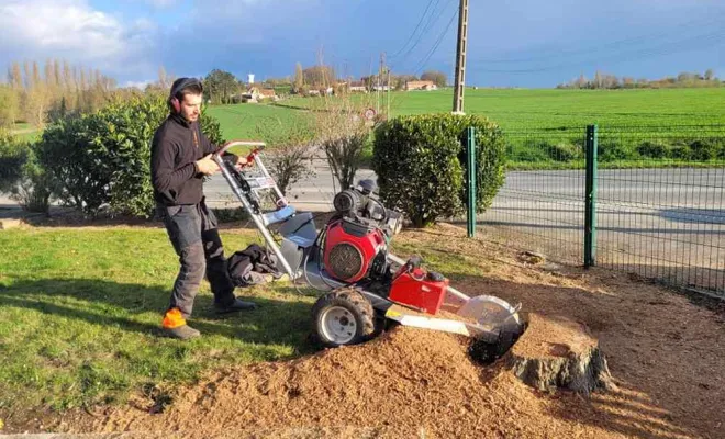 Entretien espaces verts, Saint-Omer, Alerte Nuisible Environnement