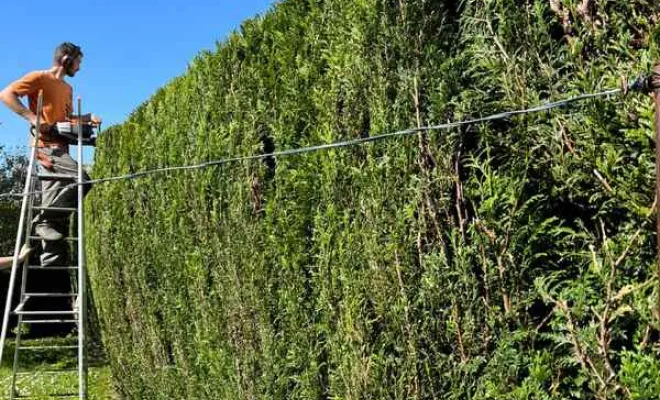 Entretien espaces verts, Saint-Omer, Alerte Nuisible Environnement