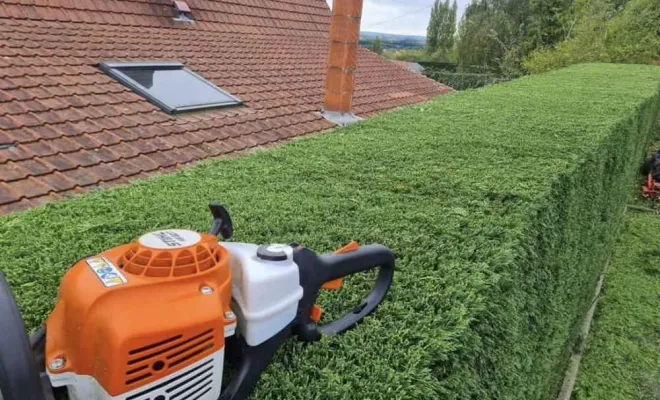 Entretien espaces verts, Saint-Omer, Alerte Nuisible Environnement